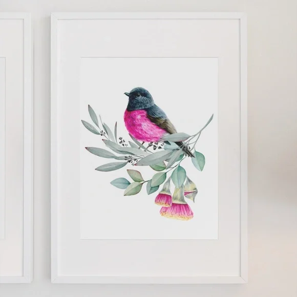 Pink Robin Bird Wall Art Watercolor Illustration Print Poster Card Unframed - Picture 3 of 7